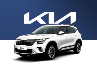 더 뉴 셀토스